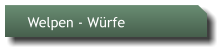 Welpen - Würfe